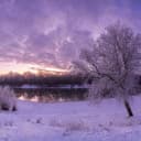 User avatar. To change the avatar, replace the imageUrl with your own image link from the `public/images` folder.